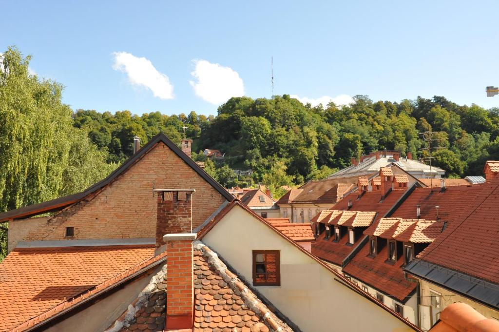 Spacious 2-Bedroom Apartment Zabjak With Ac Tour As Ljubljana Exterior foto